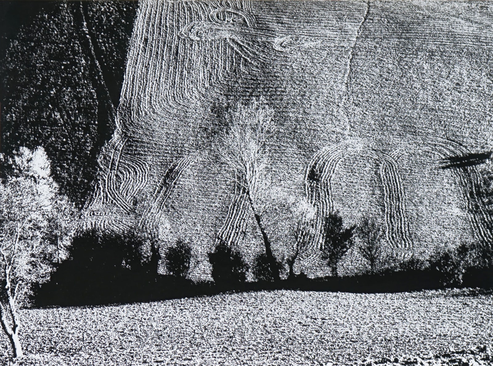 Mario Giacomelli, Ottobre 4 (PAS. 10), 1972