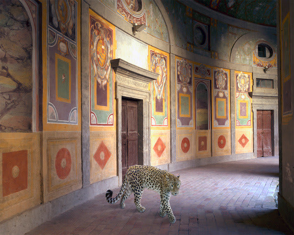Karen Knorr, Cult of Bacchus, Villa Farnese, Caprarola, 2014