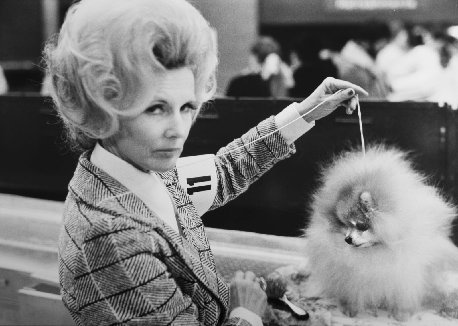 Elliott Erwitt, New York City, 1973