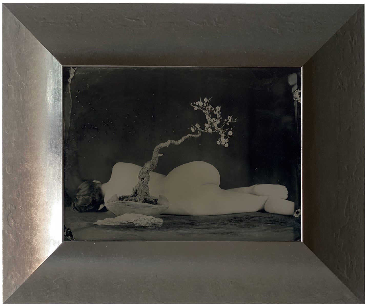 Yamamoto Masao, Ambrotype #56, 2022