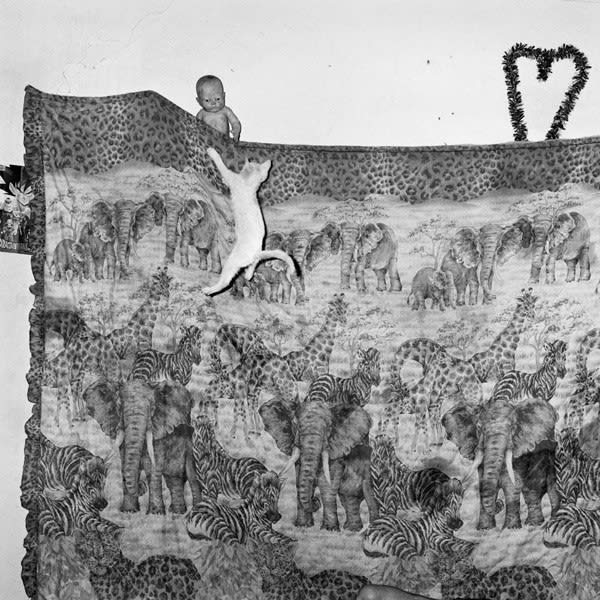 Roger Ballen, Clinging, 2005