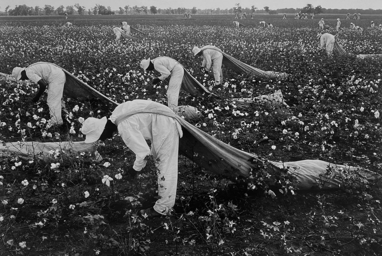 Danny Lyon, The Cotton Pickers, Ferguson Unit, Texas, 1968