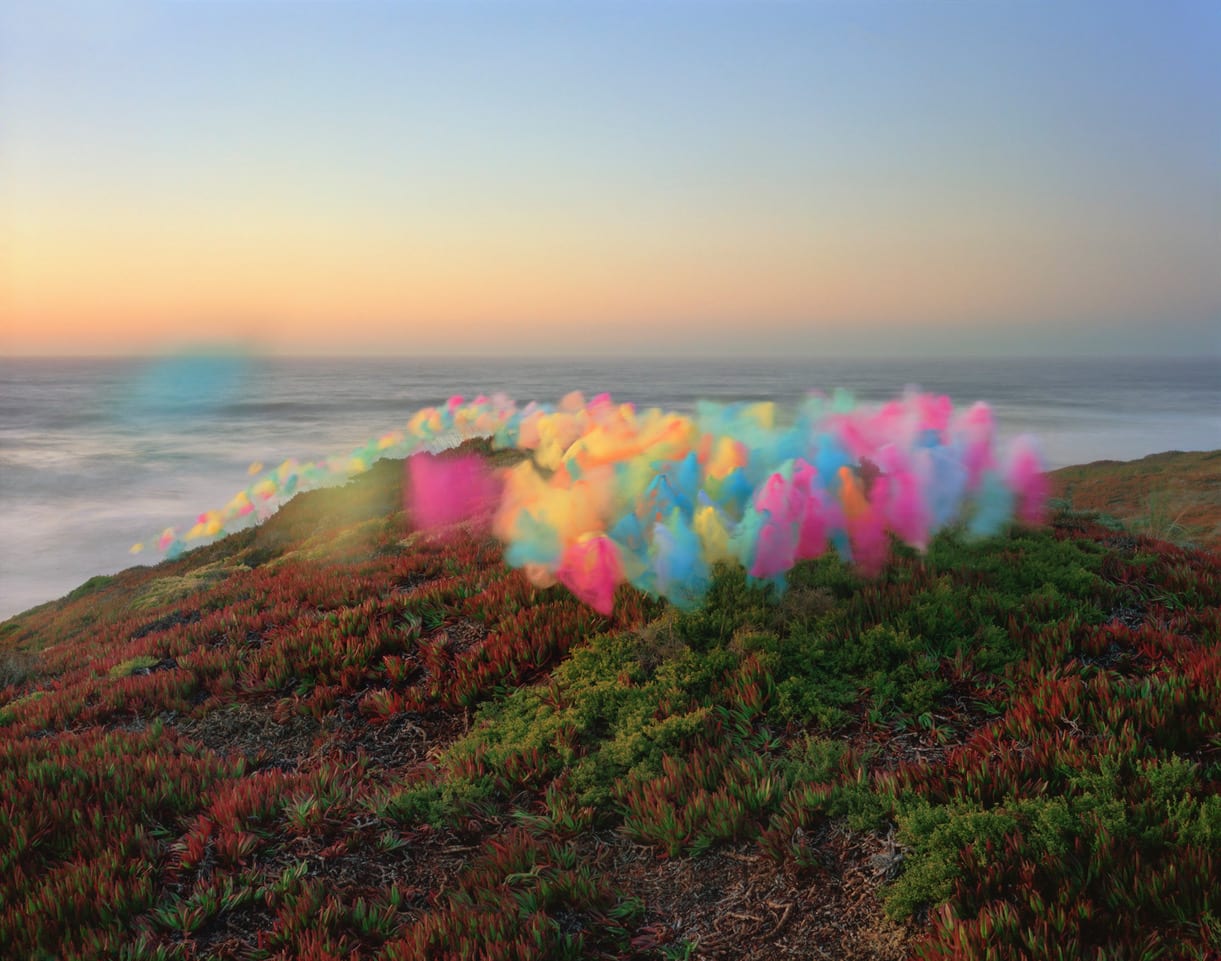 Thomas Jackson, Tulle No. 5, Point Reyes National Seashore, California, 2019