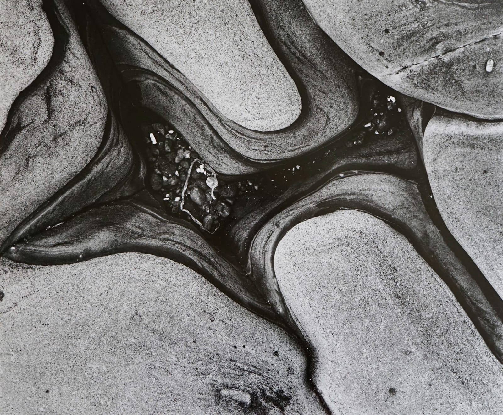 Brett Weston, Untitled
