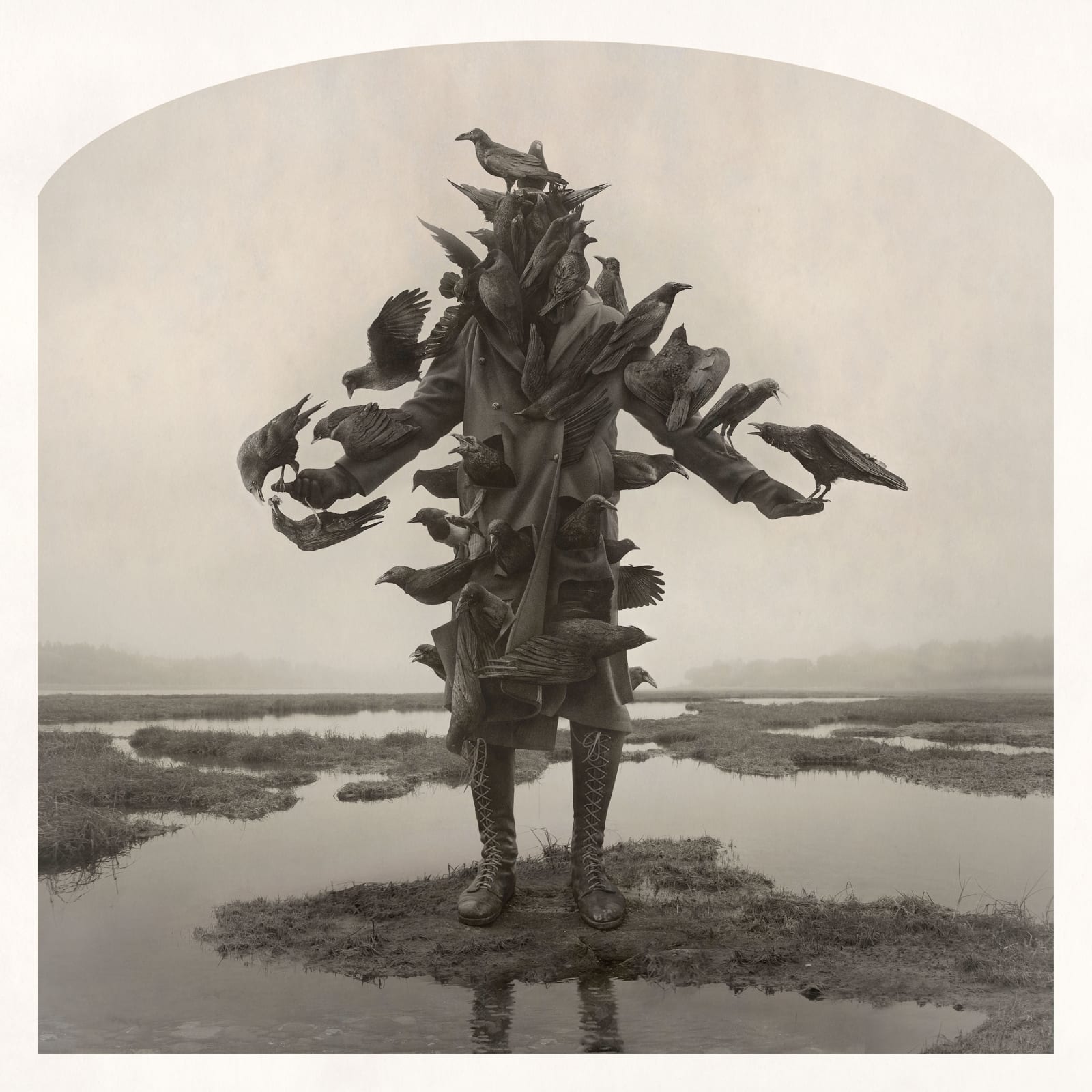 Kahn + Selesnick, King of Birds, 2020