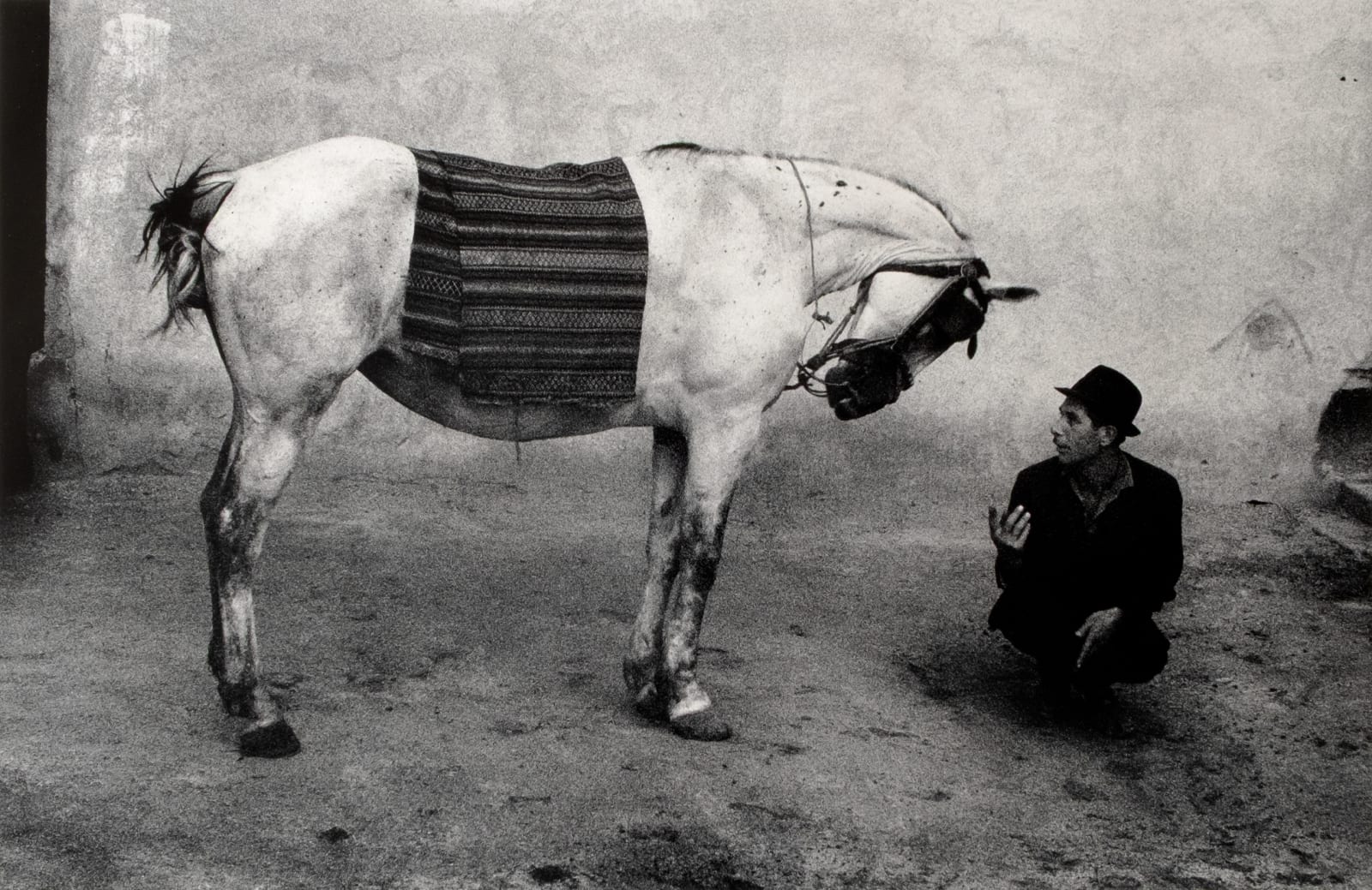 Josef Koudelka, Rumania (gypsy and horse), 1968
