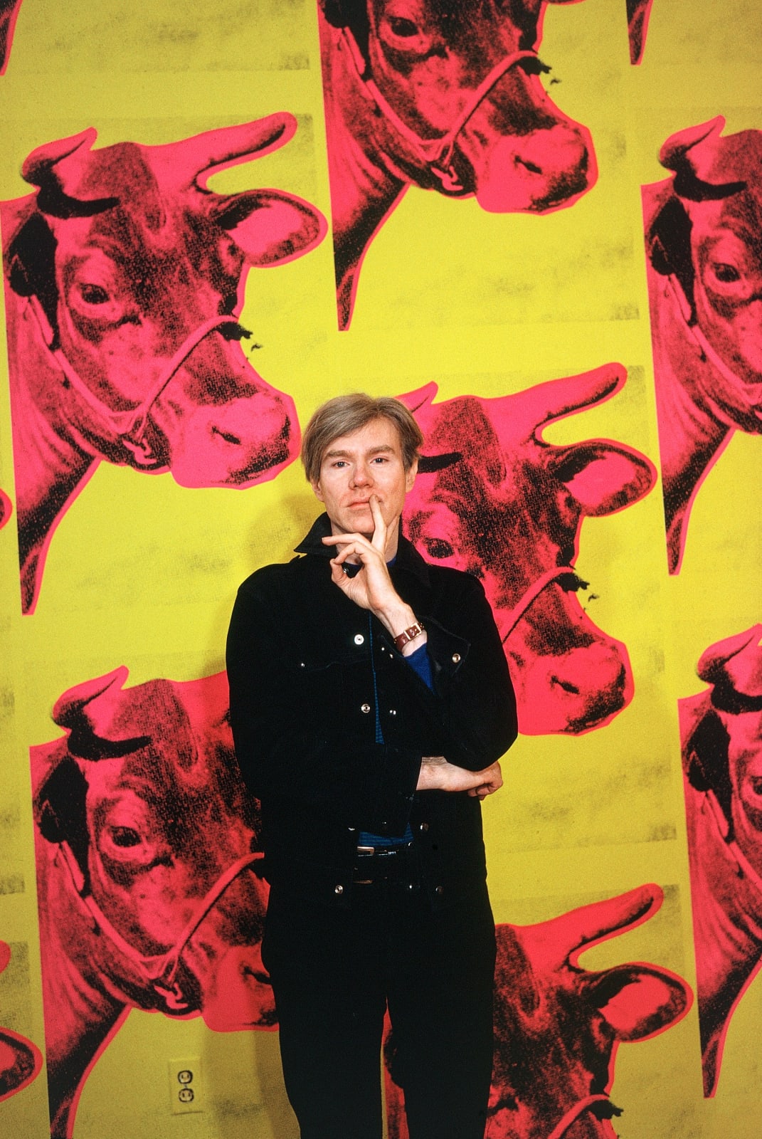 Steve Schapiro, Cow Wallpaper (vertical), 1966