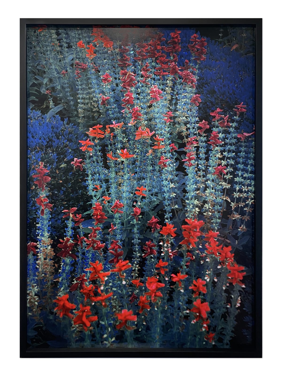 Erik Madigan Heck, Untitled, The Garden, 2019