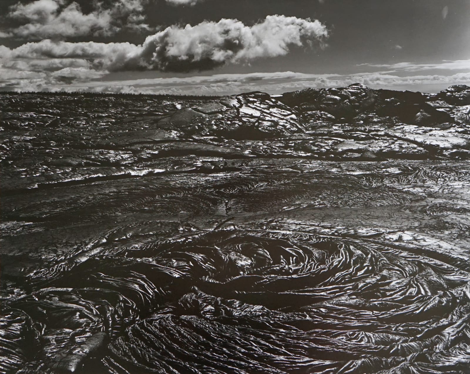 Brett Weston, Untitled
