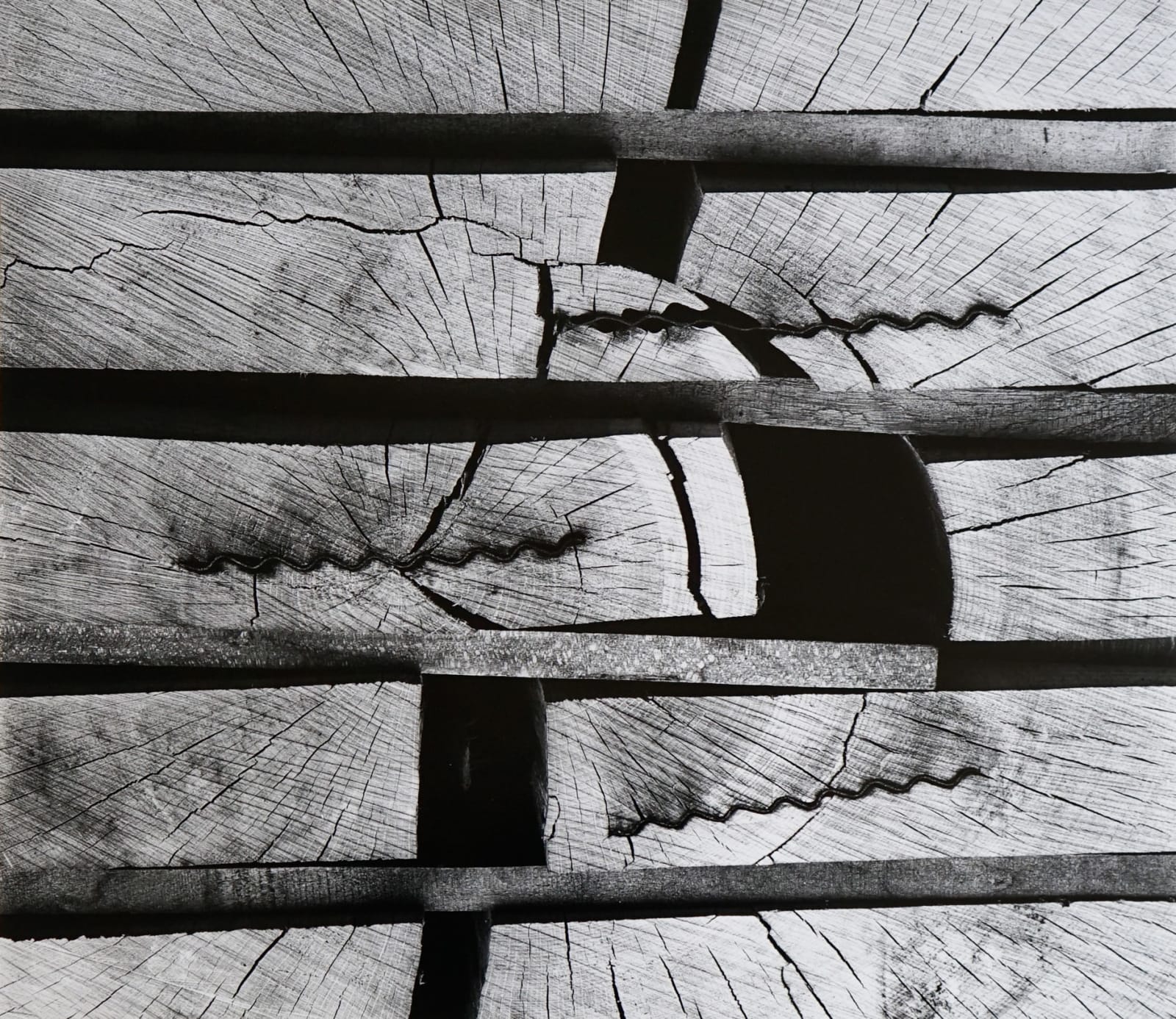 Brett Weston, Wood, 1968