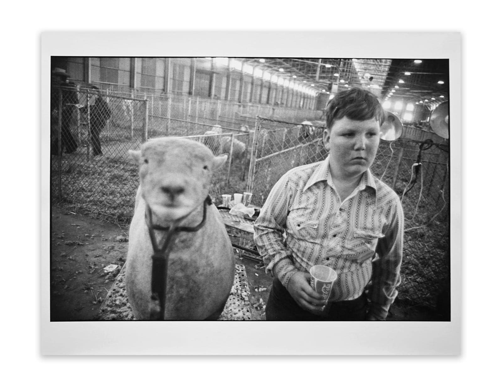 Garry Winogrand, Boy at Stock Show, Fort Worth, Texas, 1975