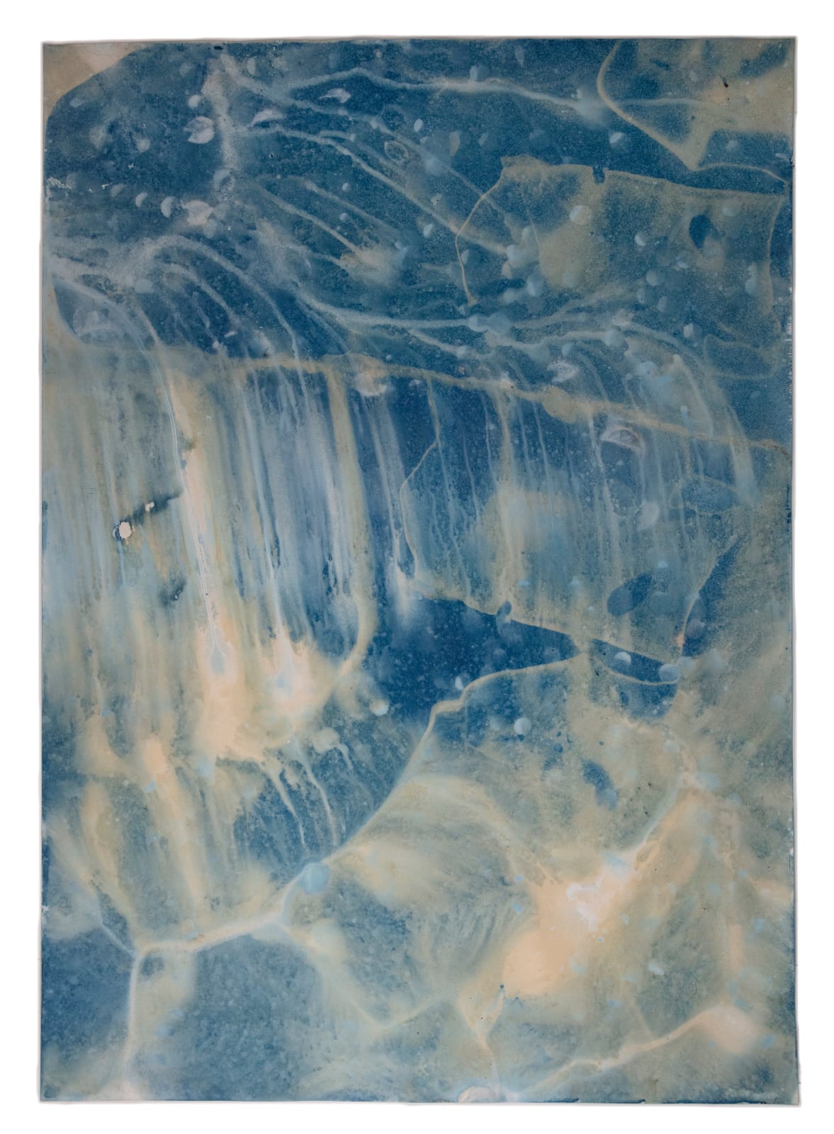 Meghann Riepenhoff, Ecotone #934 (Bainbridge Island, WA, Dawn on 11.3.20 - 11.7.20 When the AP Called the US Presidential Election, Storms, Slugs, Tears, Sunshine), 2020