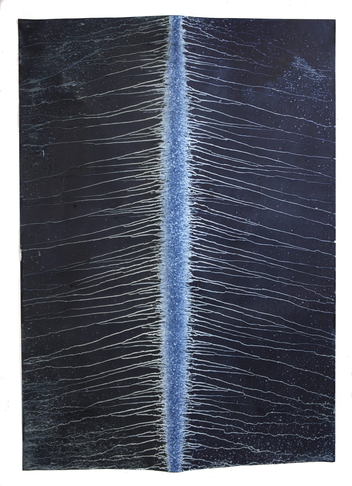 Meghann Riepenhoff, Ecotone #320 (Bainbridge Island, WA 02.27.18 + 03.02.18, Rain Falls in Every Direction), 2018