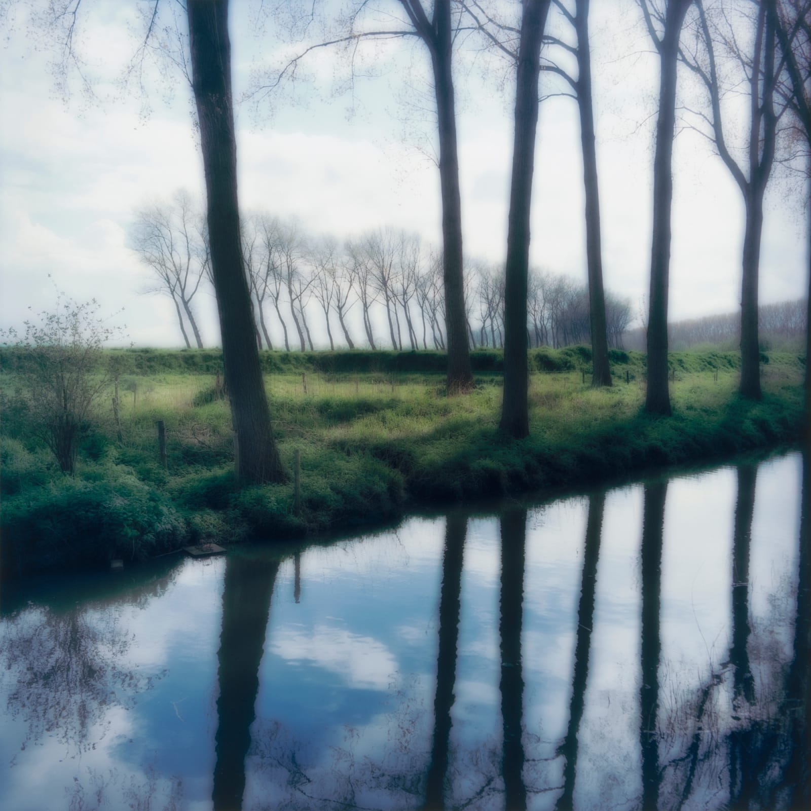 Lynn Geesaman, Damme Belgium, (4-04-40c-9), 2004