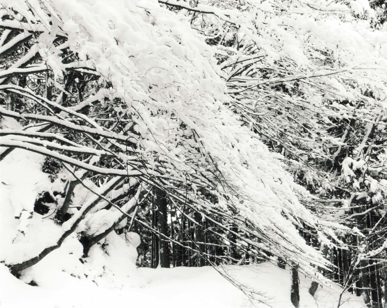 Yamamoto Masao, Kawa=Flow #1550