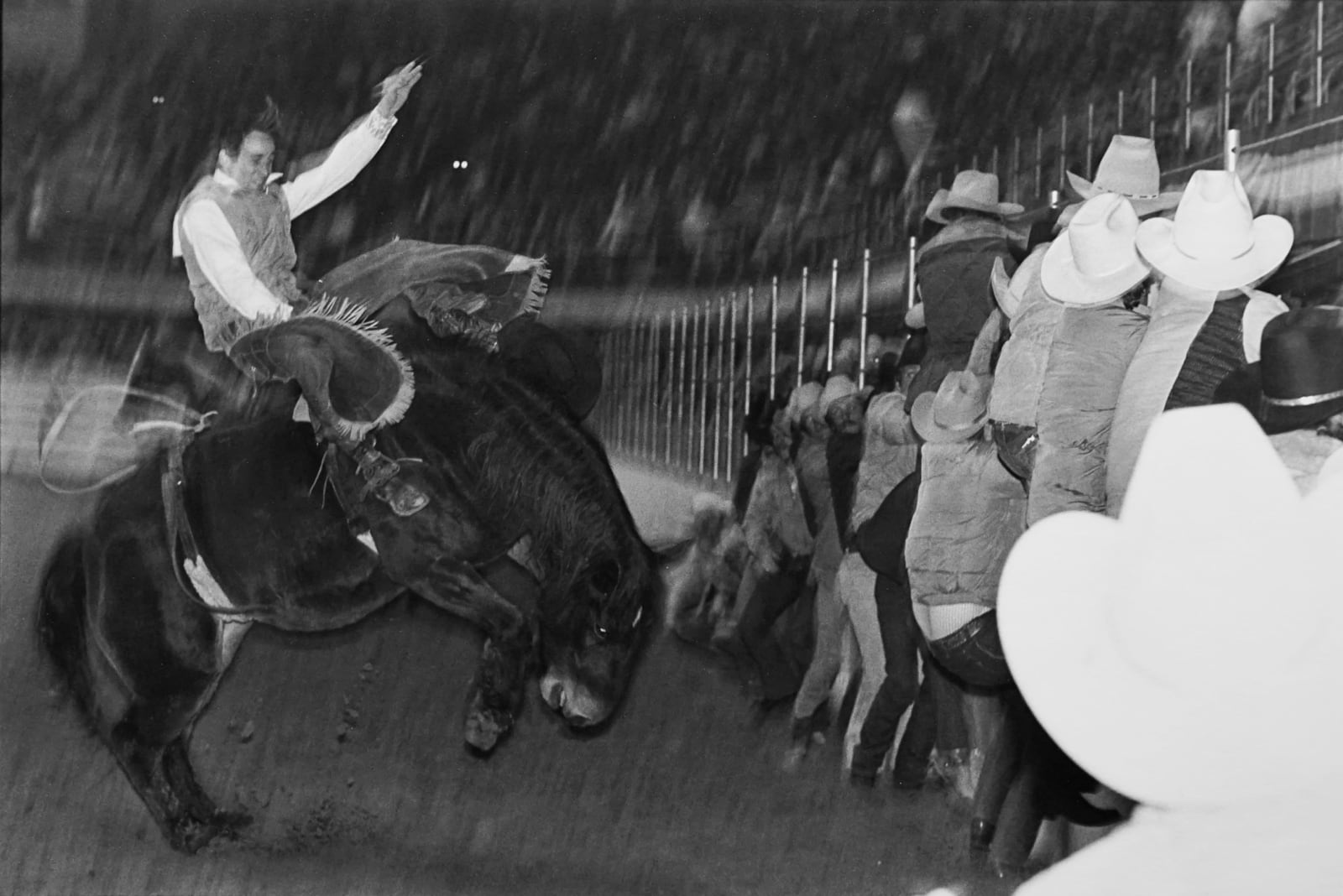Garry Winogrand, Bucking Horse, Huge White Hat Right Side of Frame, 1974