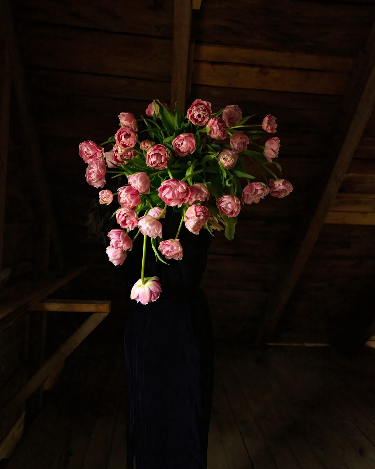 Cig Harvey, Pink Parrot Tulips (Floating), Rockport, Maine, 2021