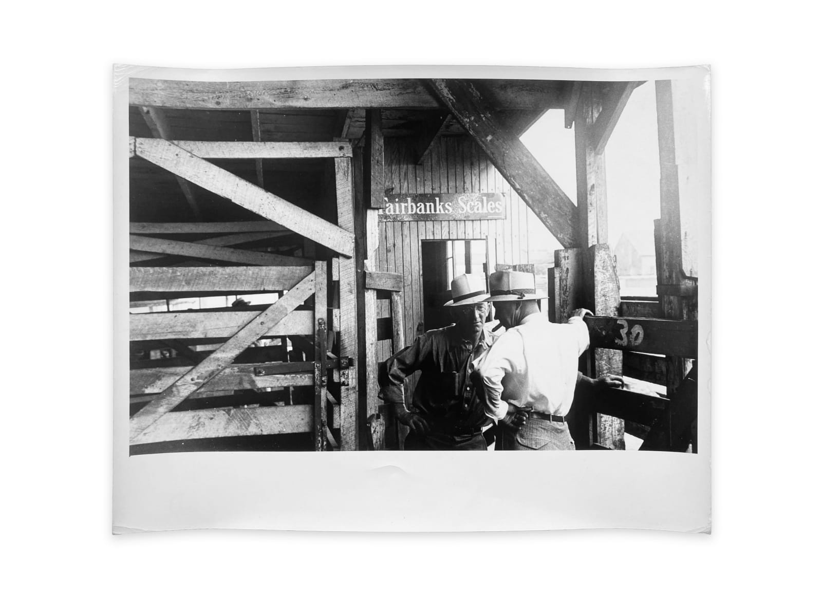 Ben Shahn, Pens at auction. Pickaway Livestock Cooperative Association, central Ohio, 1938