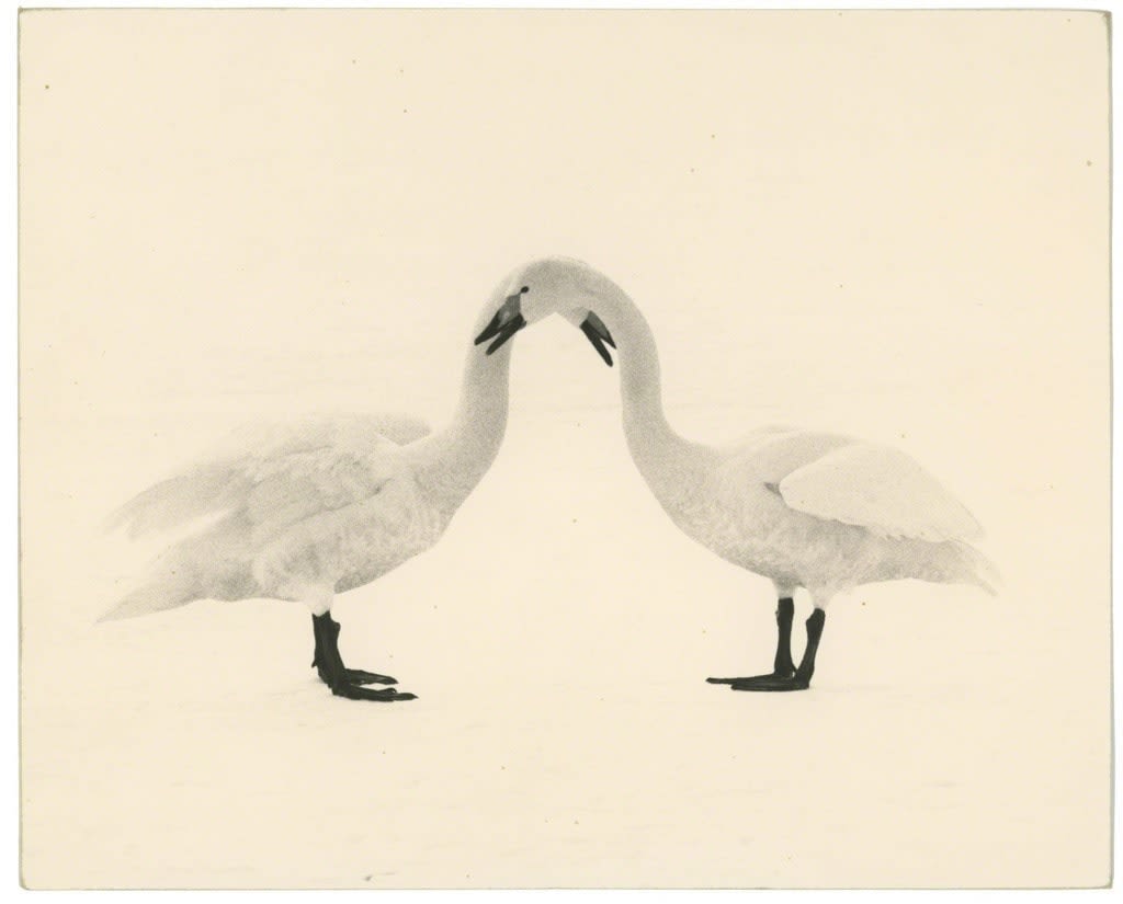 Yamamoto Masao, Kawa=Flow #1658