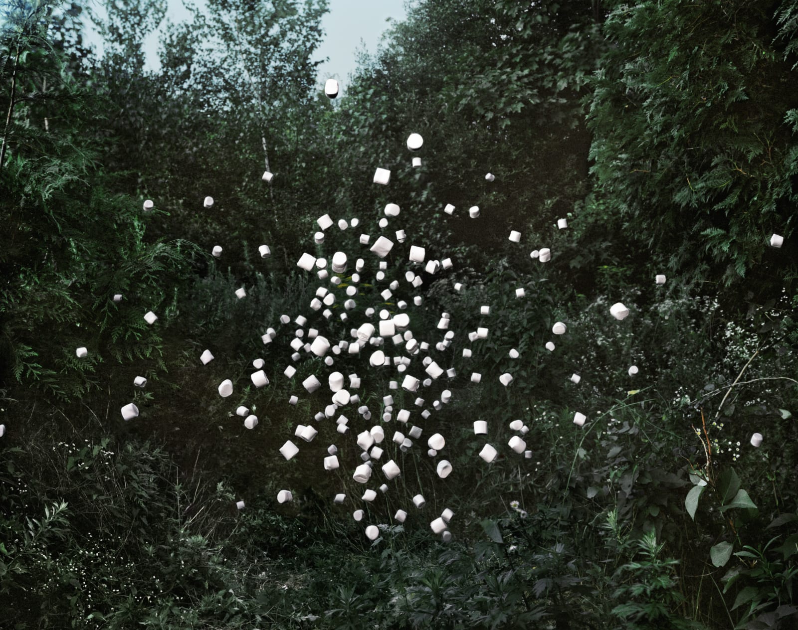 Thomas Jackson, Marshmallows no. 1, Seekonk, Massachussetts, 2012