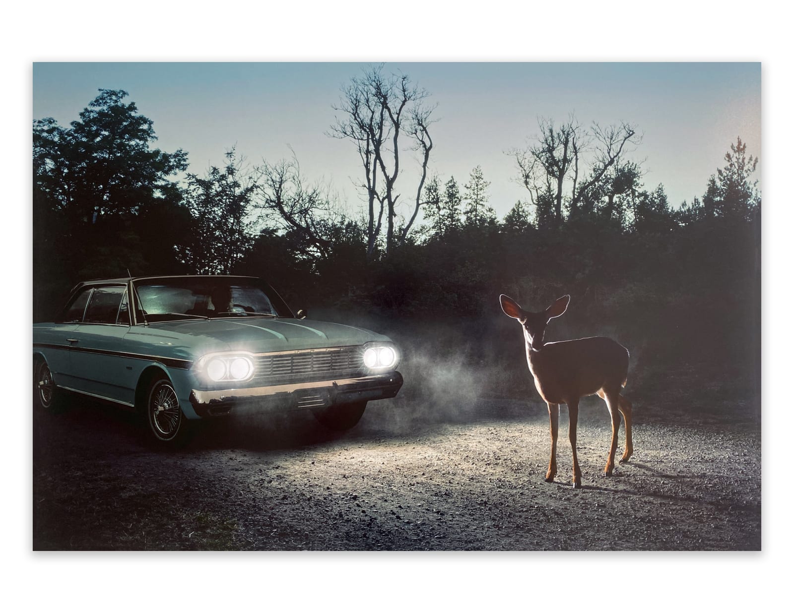 Holly Andres, River Road: Milepost 13, 2015