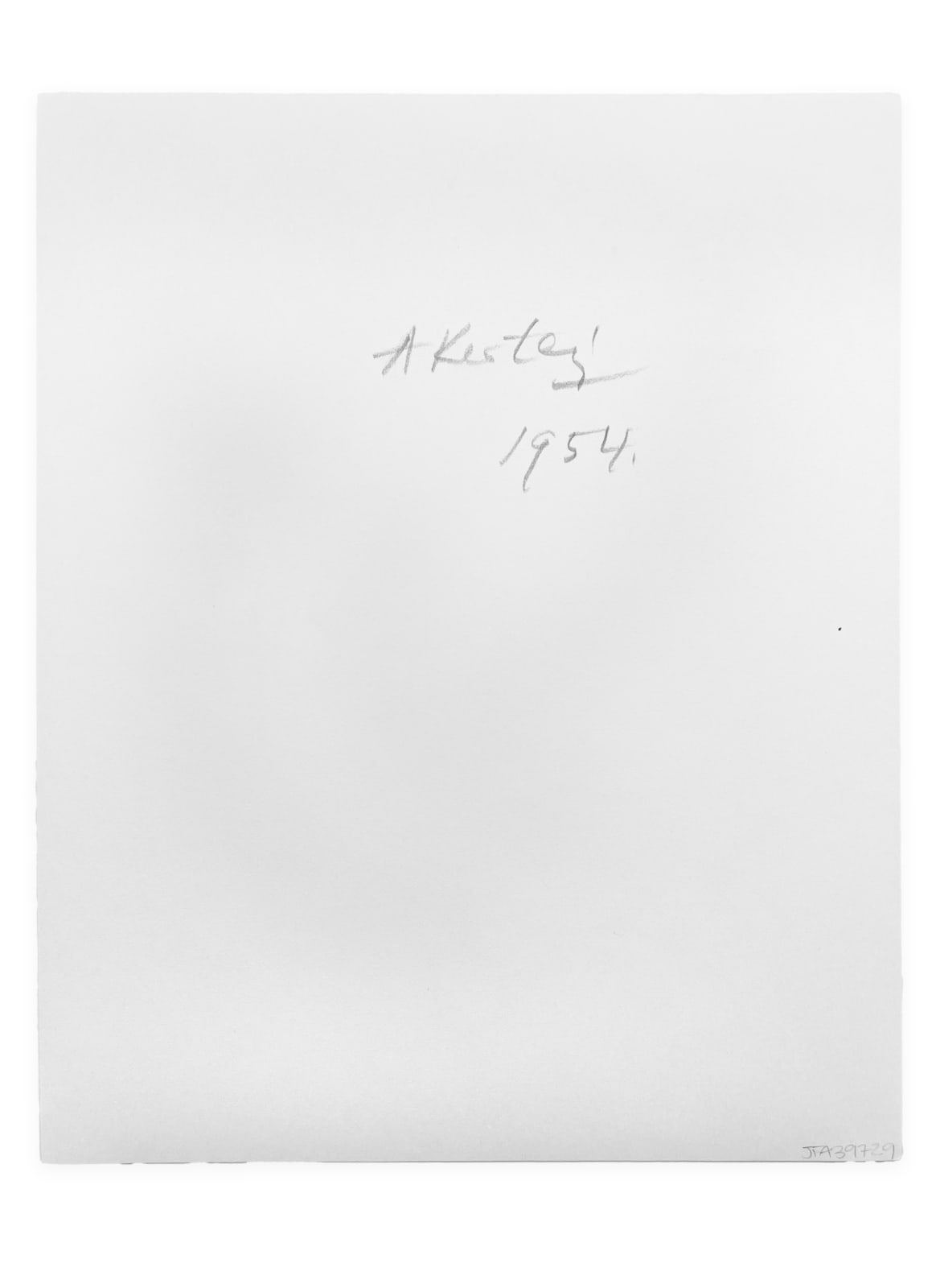 André Kertész, Washington Square, January 9, 1954