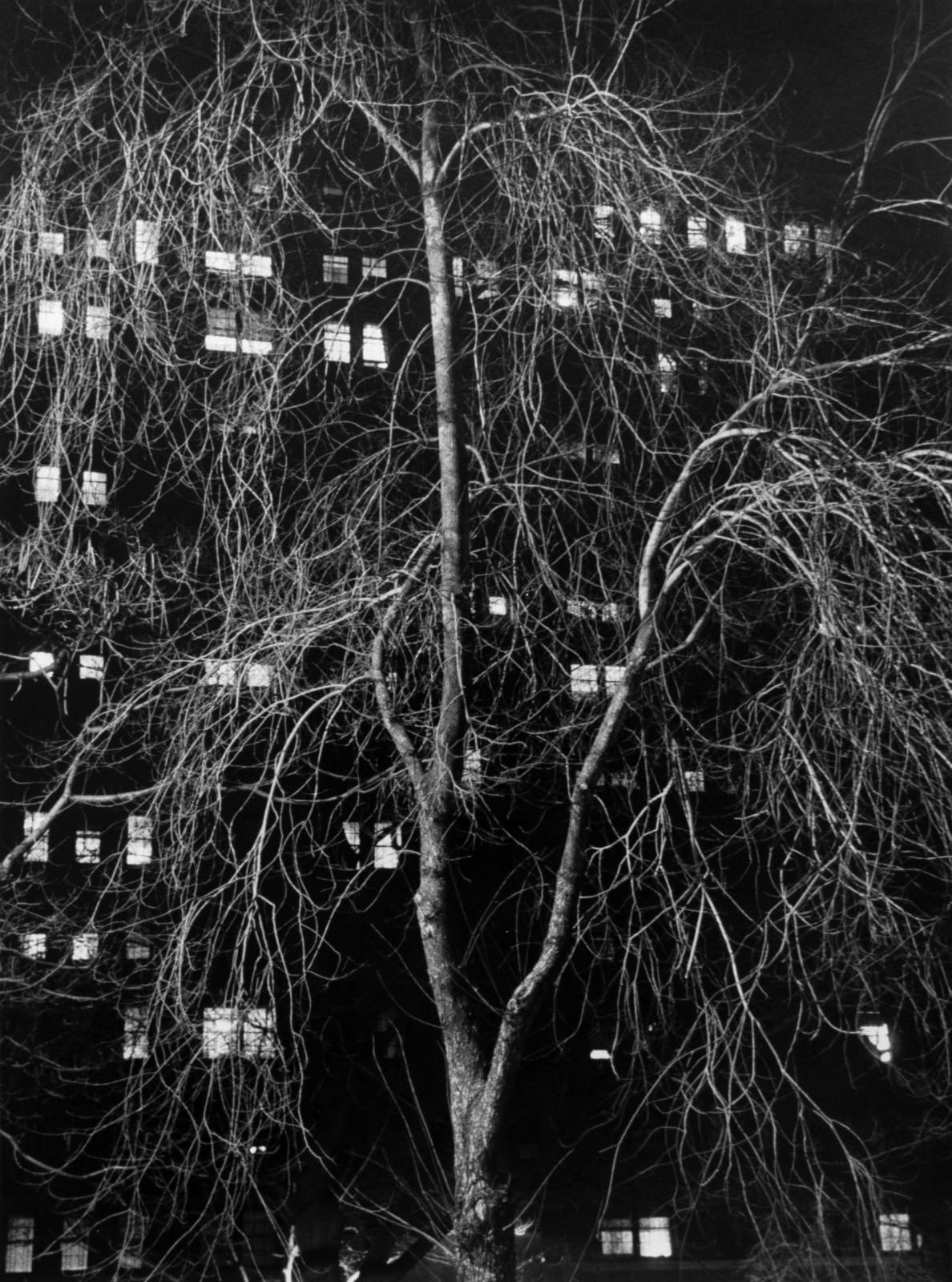 André Kertész, New York, Washington Square, 1958
