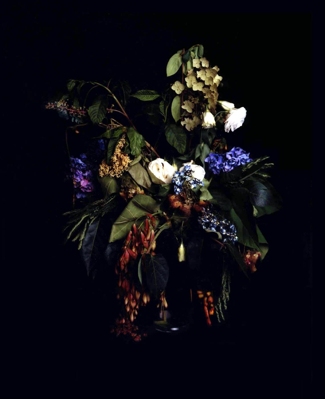 Angela West, Summer Still Life #6, From the series: Nature Morte , 2004