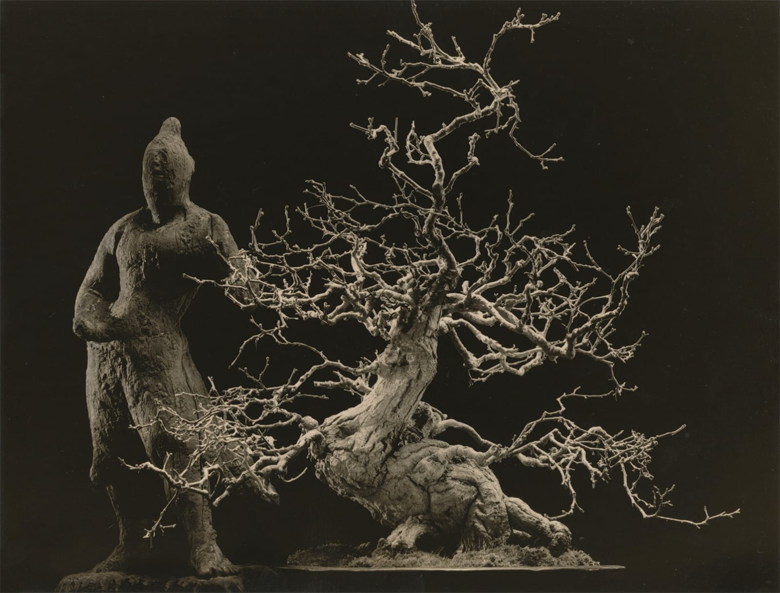 Yamamoto Masao, Bonsai #4053, 2022