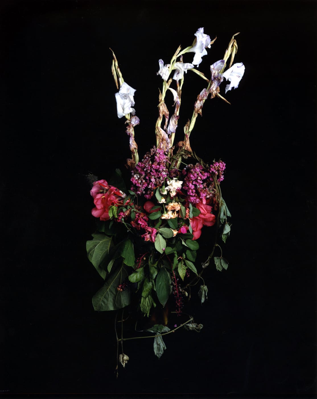Angela West, Summer Still Life #10, From the series: Nature Morte, 2004