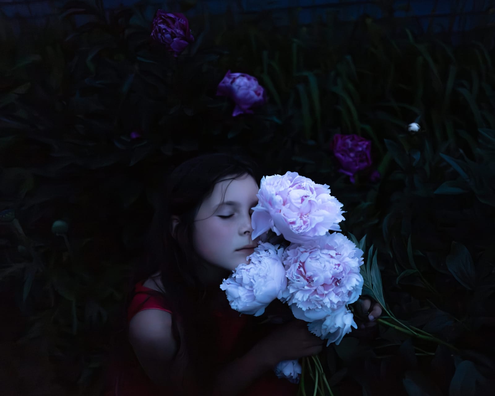 Cig Harvey, Scout & the Peonies, Rockport, Maine, 2022