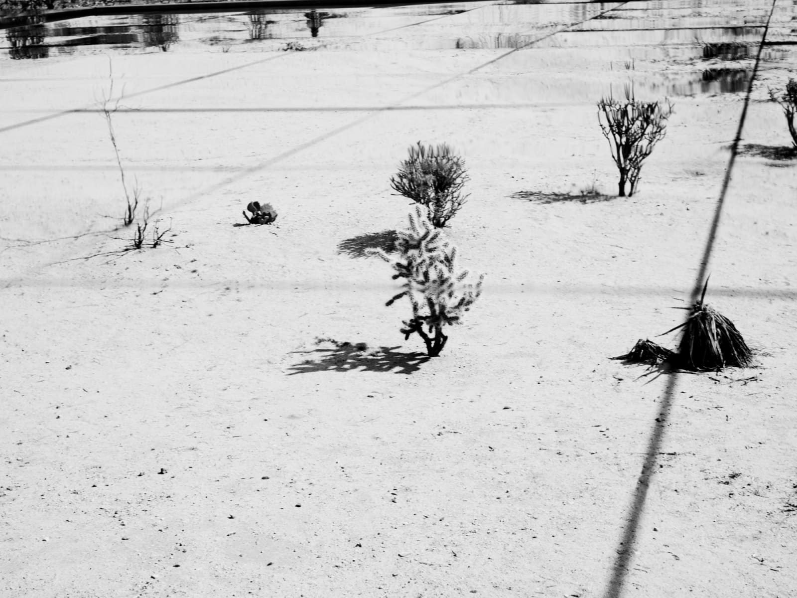 Mona Kuhn, AD 11038, 2013