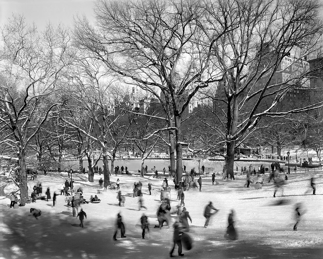 Matthew Pillsbury, Pilgrim Hill, Central Park, February 9th, 2013