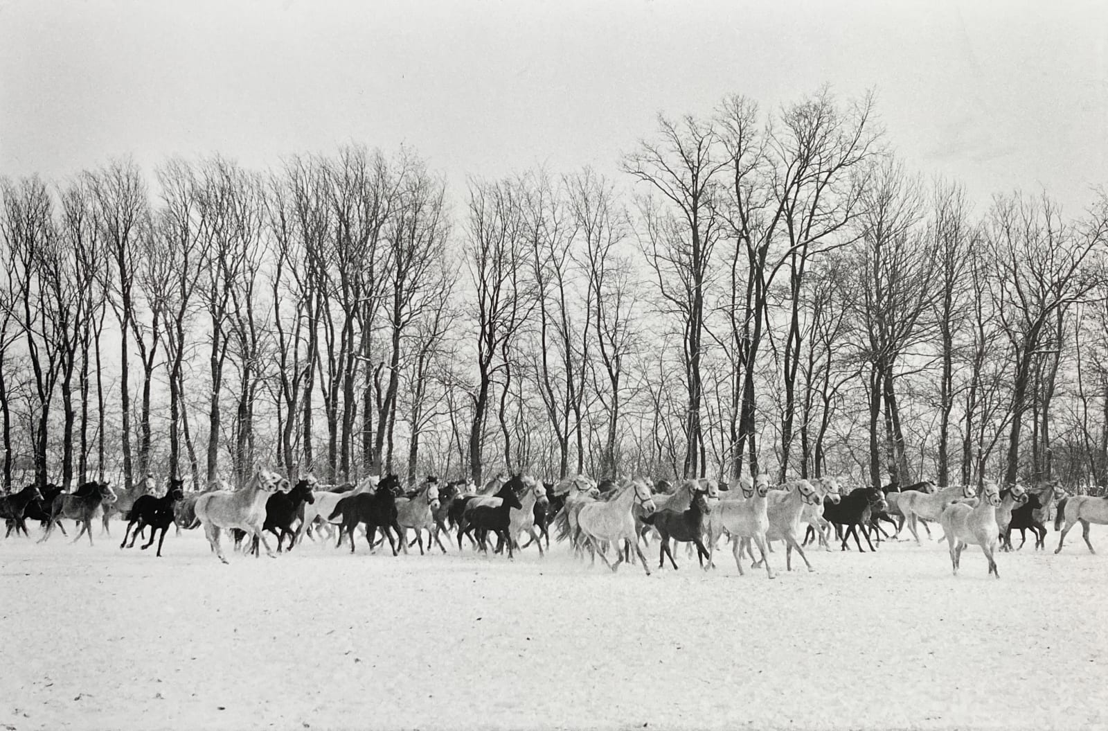 Henri Cartier-Bresson, Gyor, Hungary, 1964