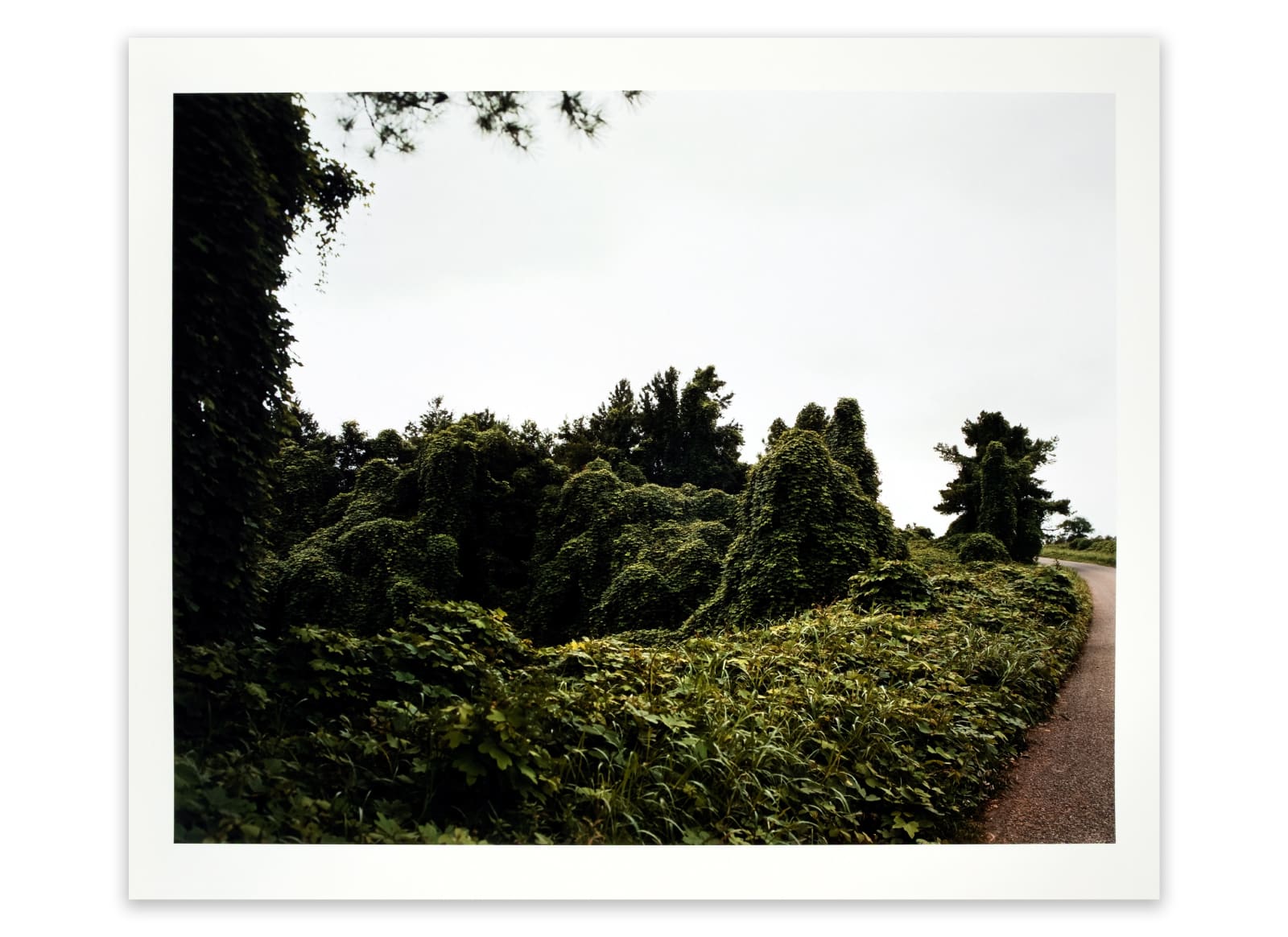 William Christenberry, Kudzu (Road to Right), near Akron, Alabama, 1978