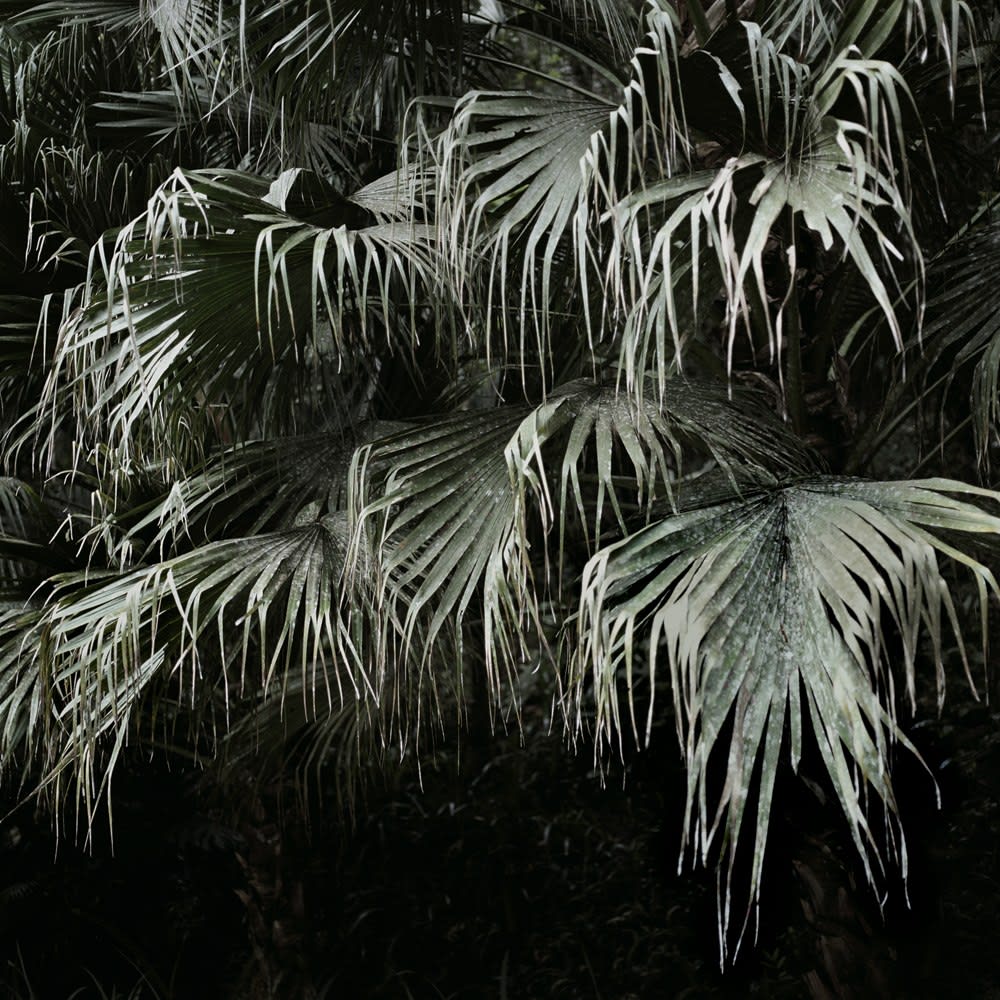 Mona Kuhn, Winter, 2009