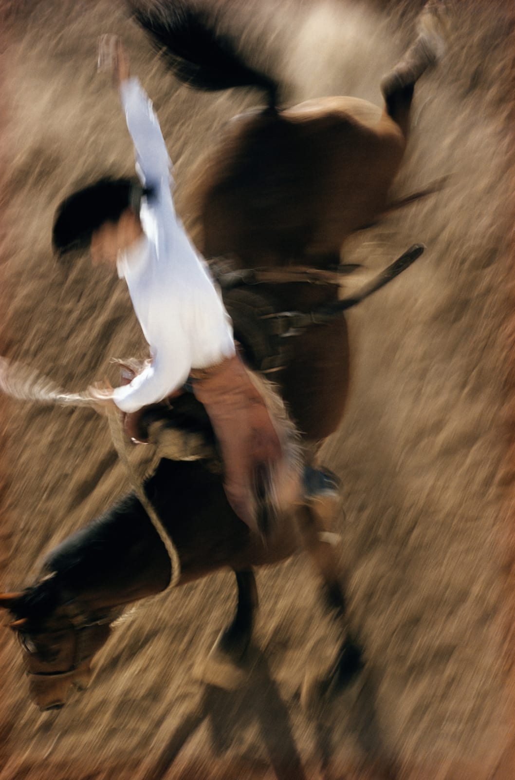 Ernst Haas, Bronco Rider,California , 1957