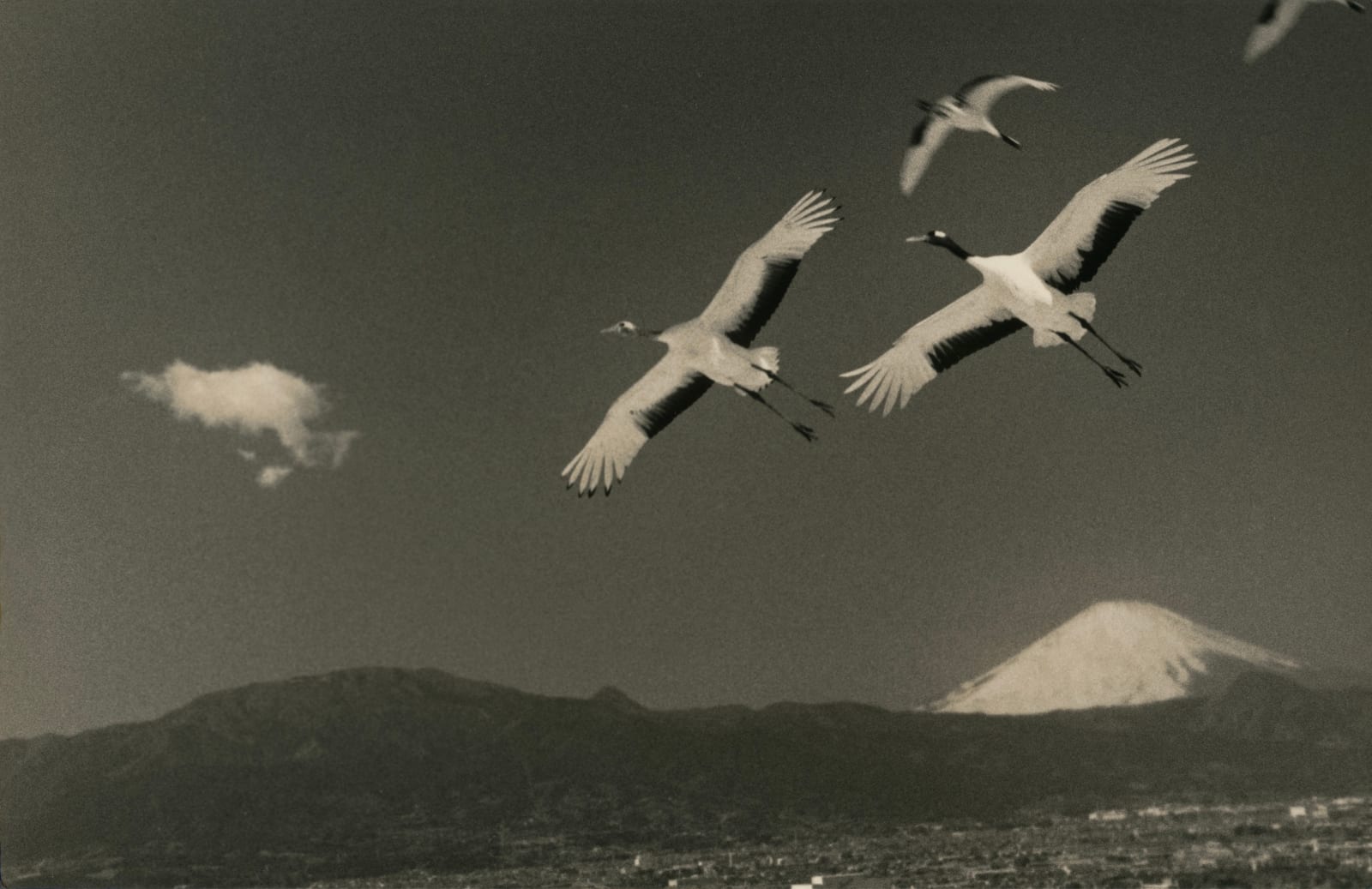 Yamamoto Masao, Kawa=Flow #1728, 2025