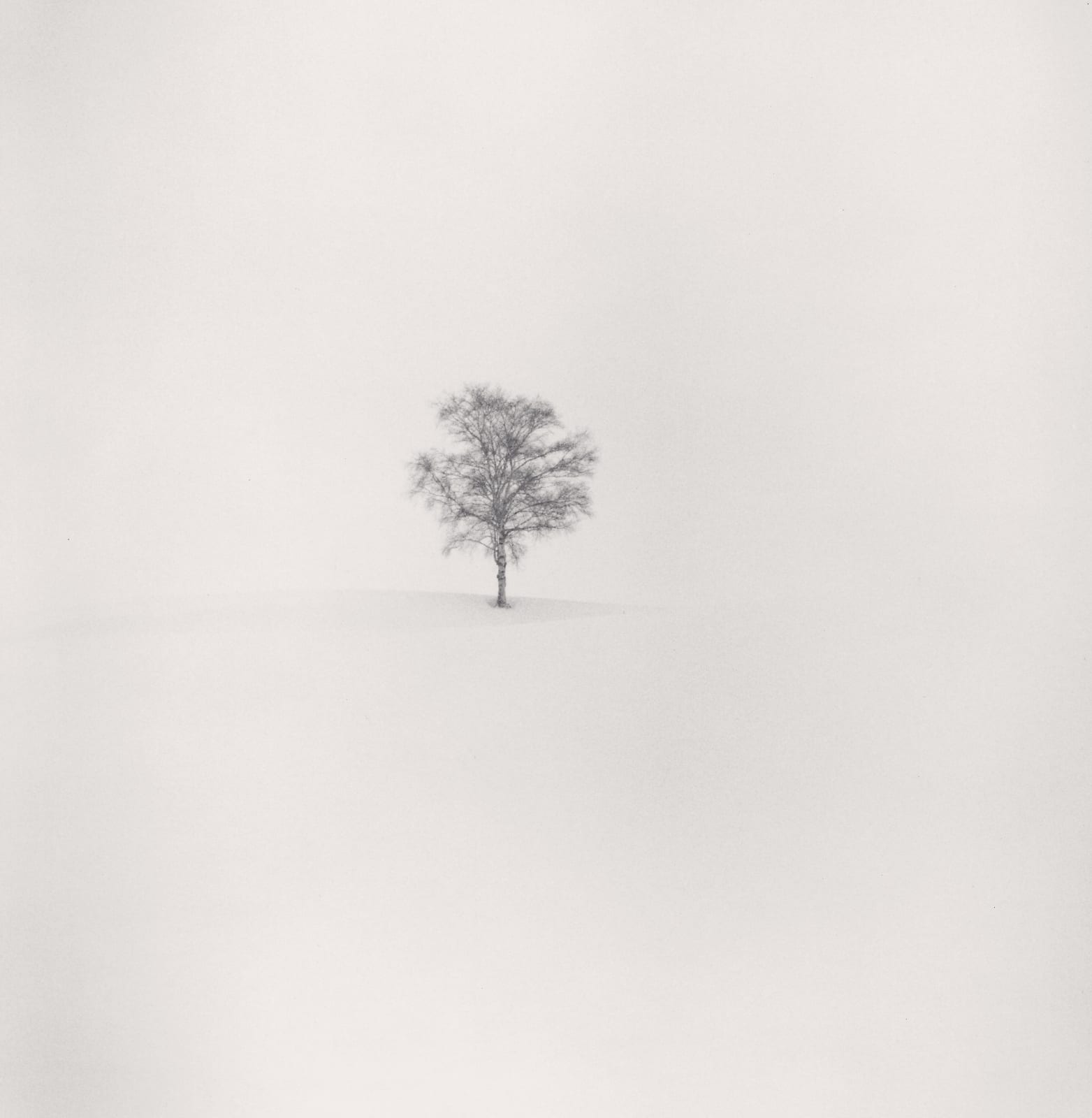 Michael Kenna, Field of Snow, Biei, Hokkaido, Japan, 2004