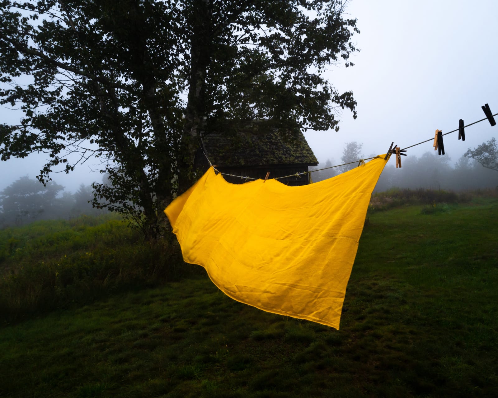 Cig Harvey, Yellow Table Cloth (Dawn), Eagle Island, Maine, 2021