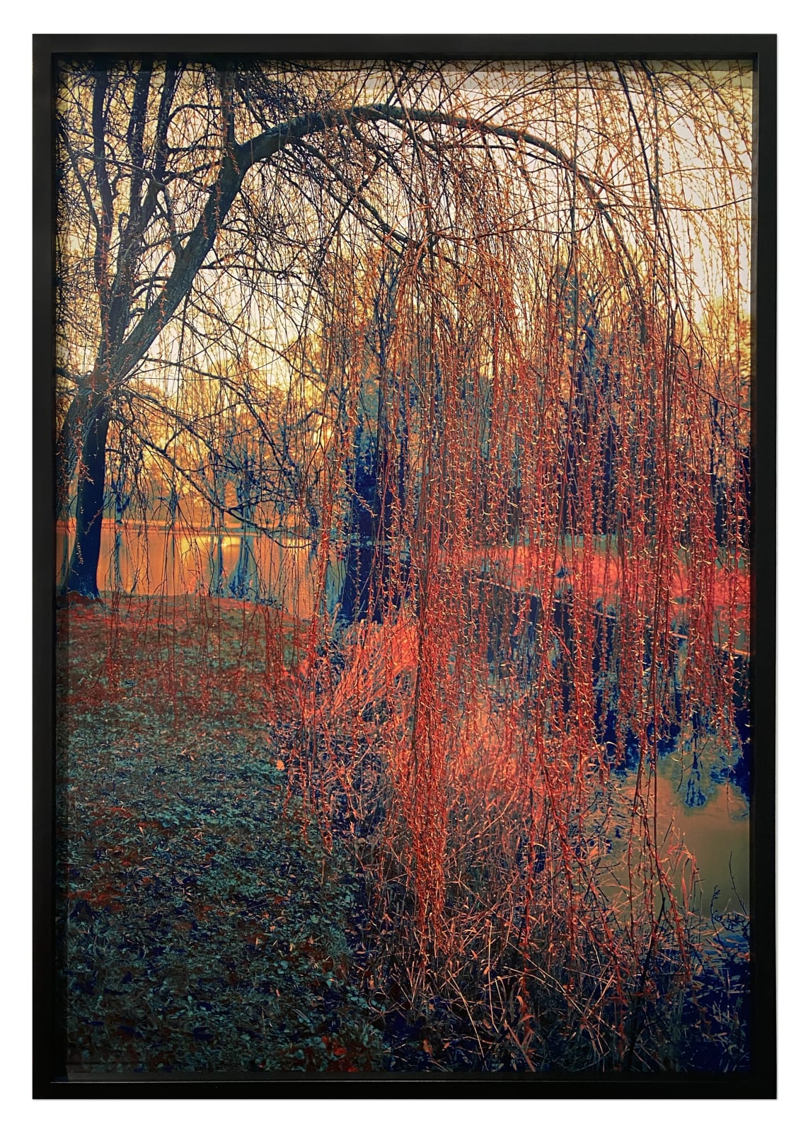 Erik Madigan Heck, Untitled, The Garden, 2019