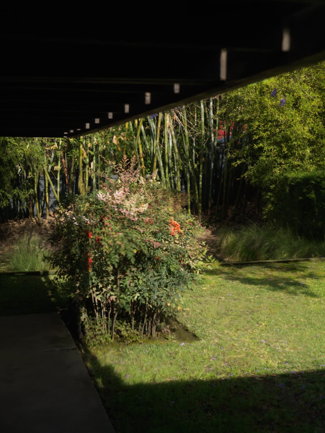 Mona Kuhn, Inner Surface, 2021