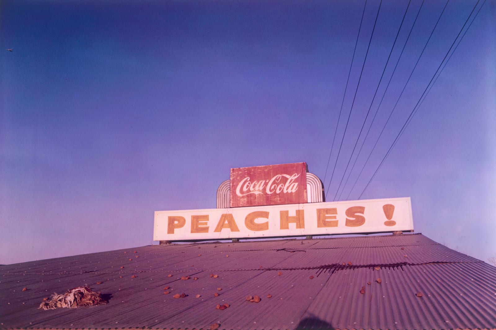William Eggleston, Peaches, 1971
