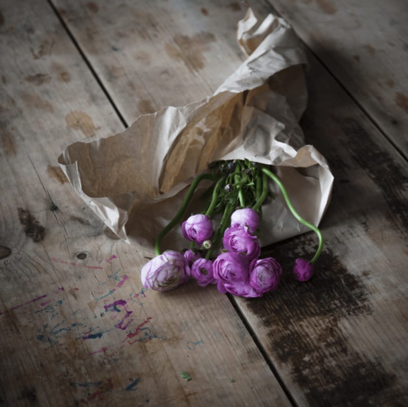 Cig Harvey, Ranunculus and the Felt Tip Markers, 2013