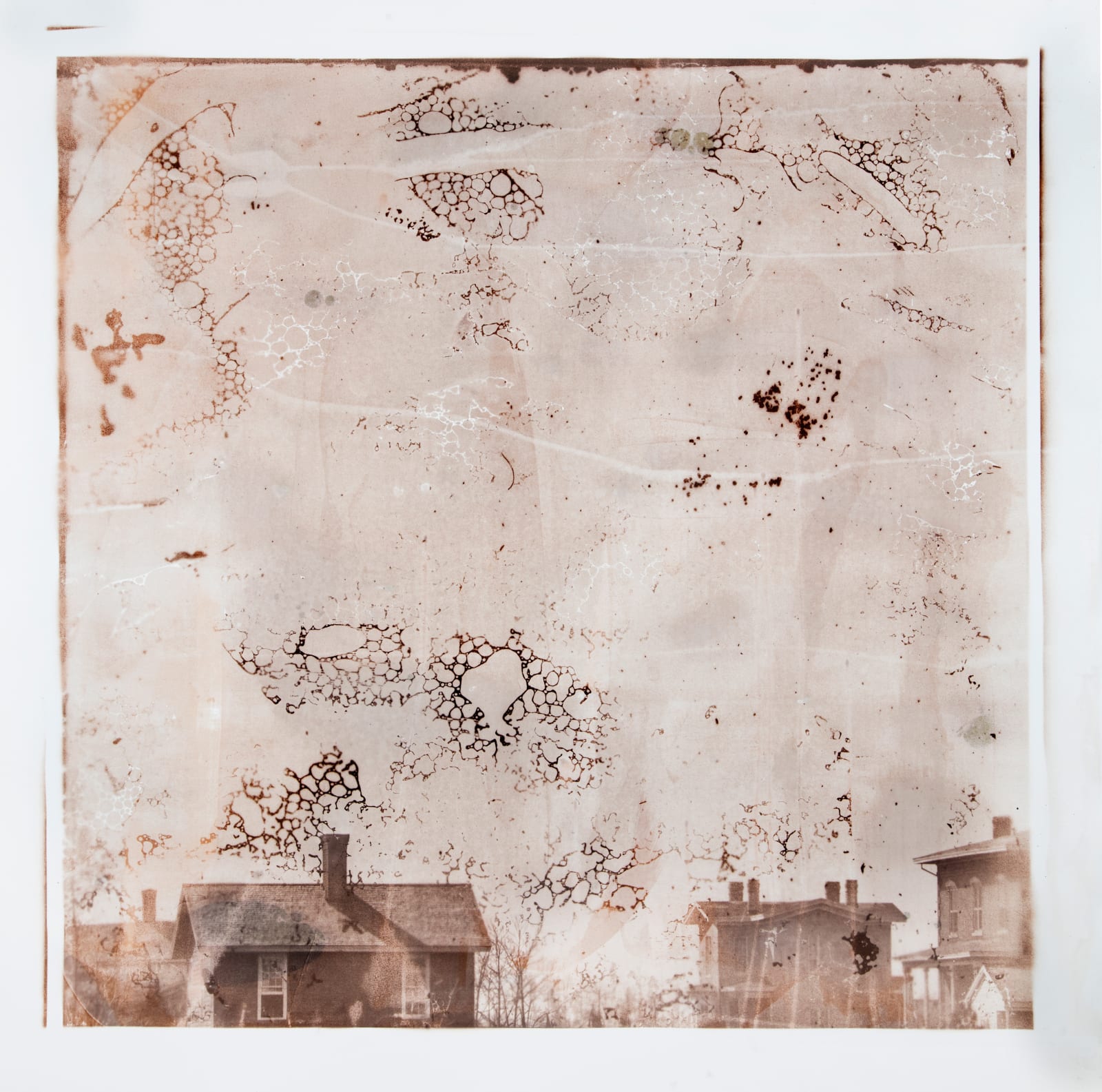 Matthew Brandt, 1864, 03480a2, 2017