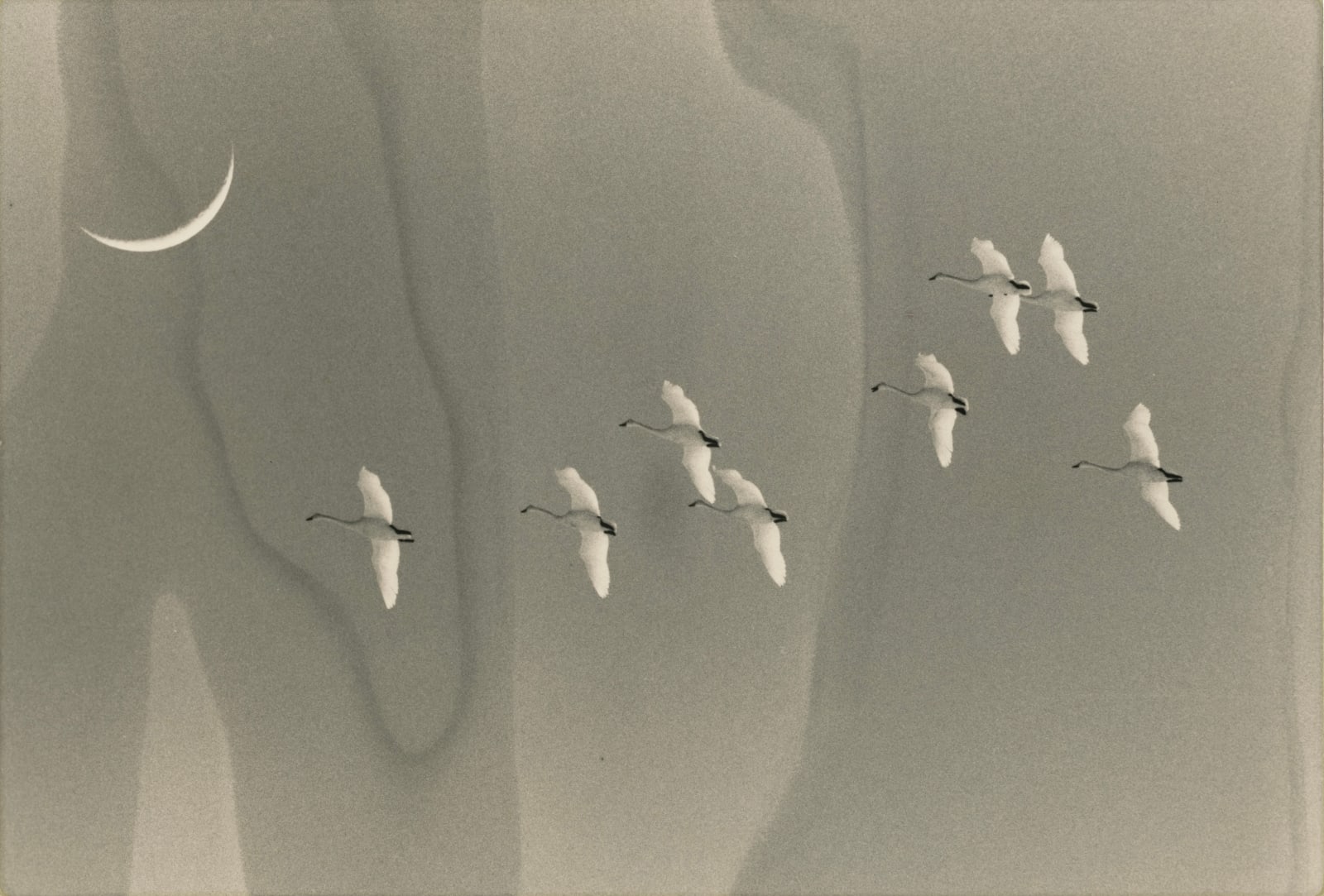 Yamamoto Masao, Kawa=Flow #1727, 2025