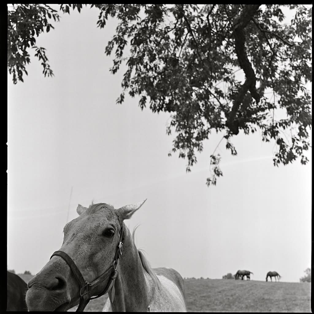 Chris Lowell, 31 Days #22, 2011