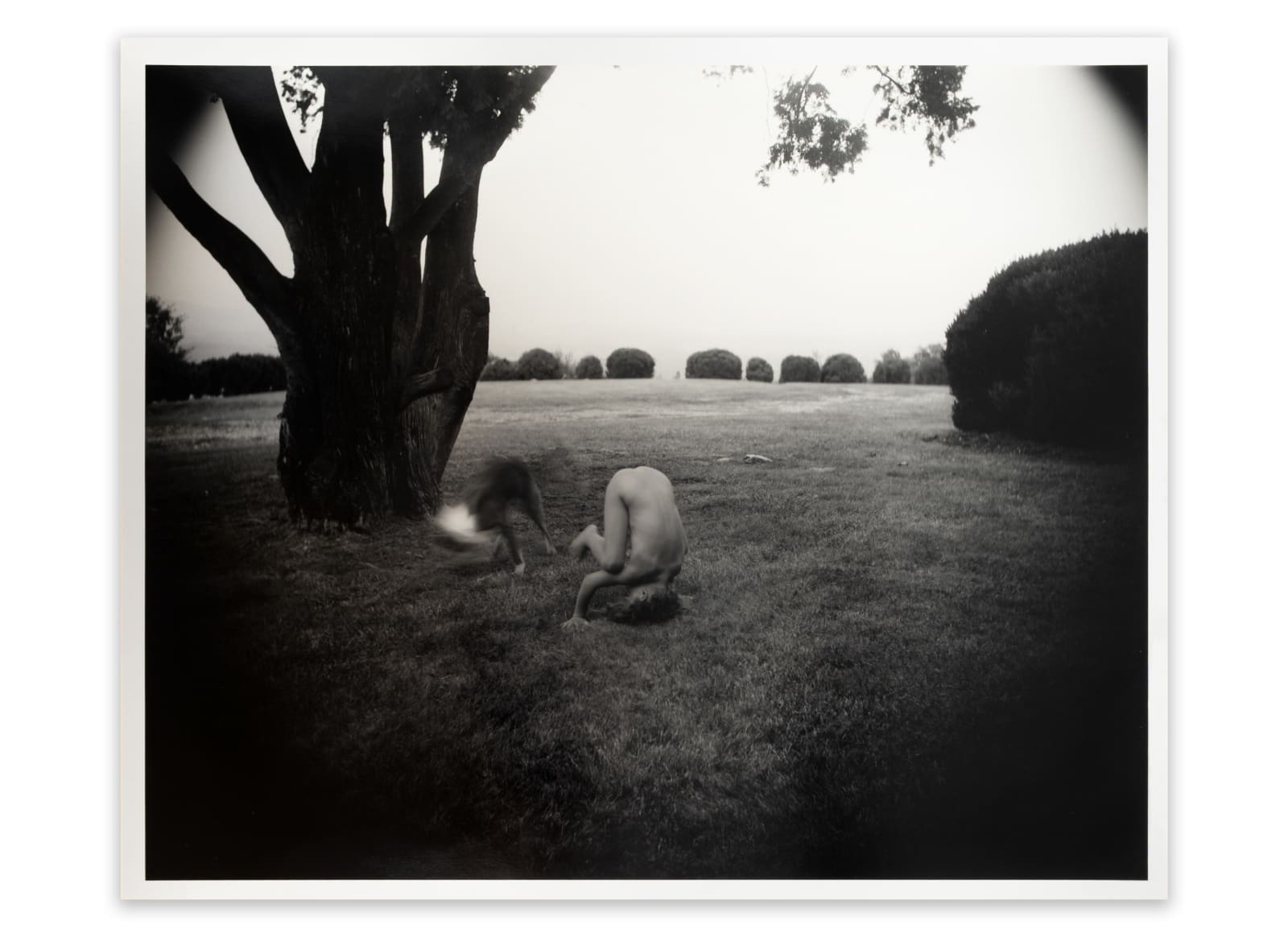 Sally Mann, Tripod, 1992