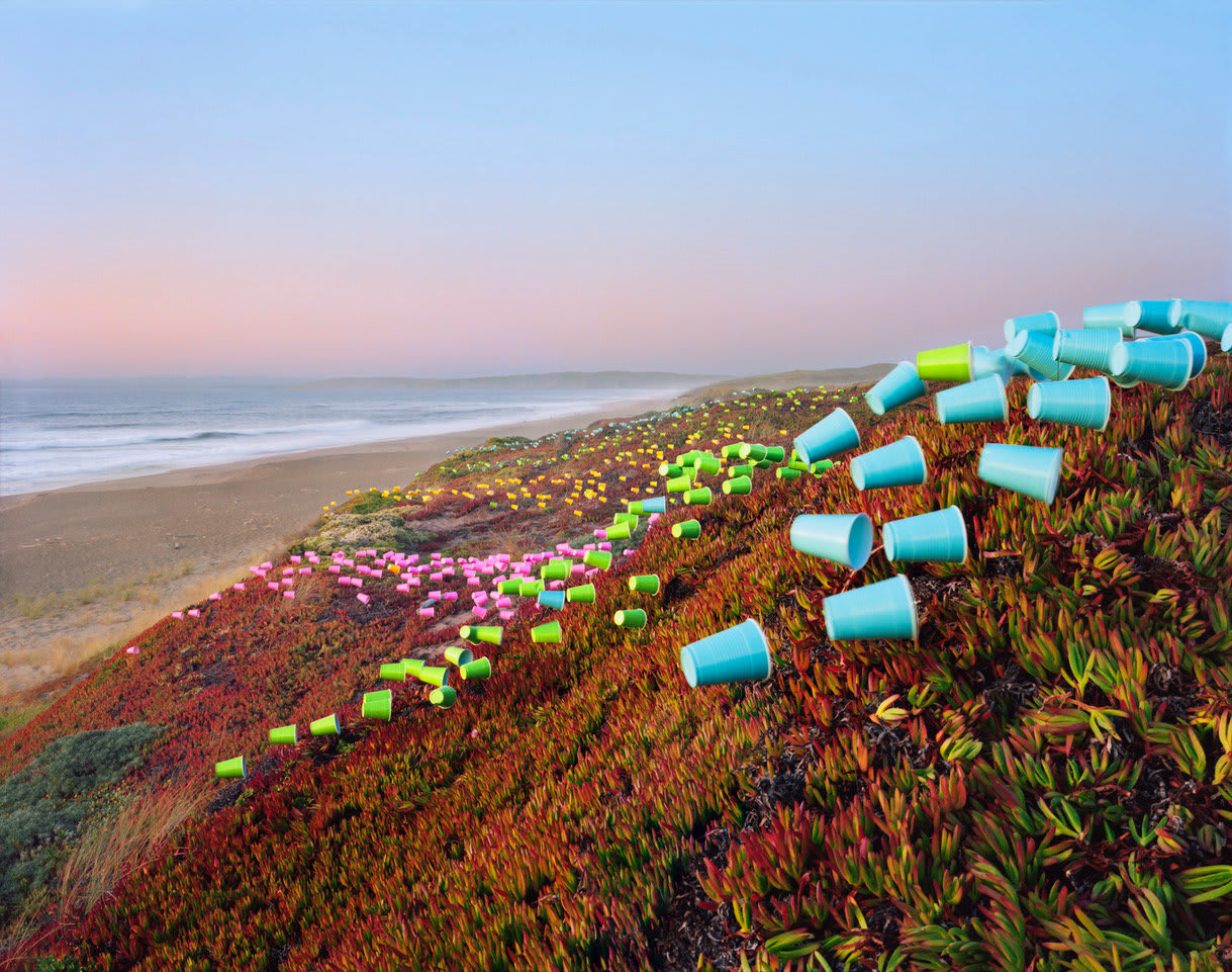 Thomas Jackson, Cups No. 5, Point Reyes National Seashore, California, 2019