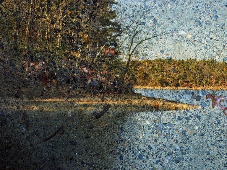 Abelardo Morell, Tent-Camera Image on Ground: Walden, Pond, 2016